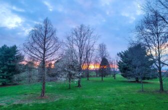 The Little Issues E-newsletter #411 – Life, laughter, and plenty of nice meals!